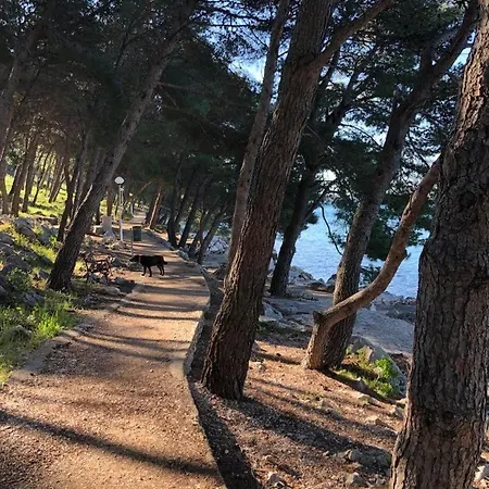 Ferienwohnung-miramare דירה *